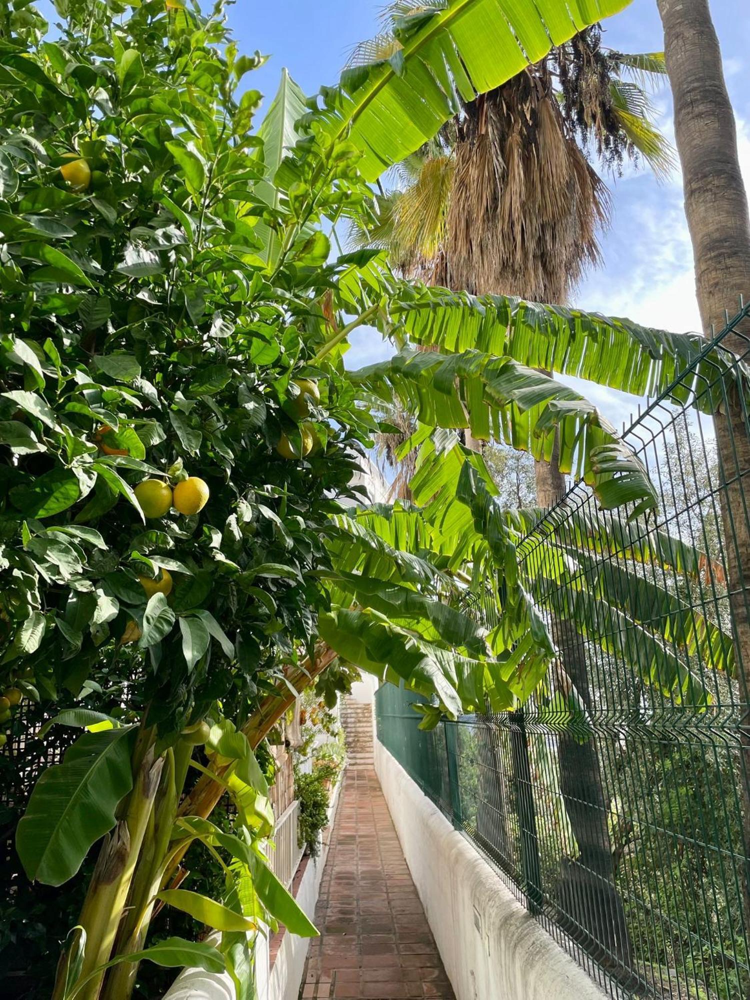 Sun Castle Διαμέρισμα Fuengirola Εξωτερικό φωτογραφία